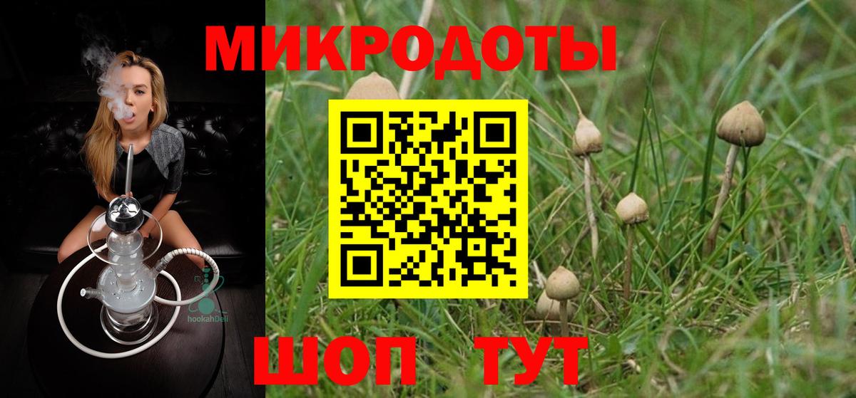 Псилоцибиновые грибы Psilocybine cubensis  Галлюциногенные грибы мухоморы  Вход с VPN  Сальск 