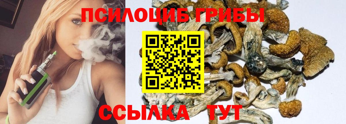 Галлюциногенные грибы MAGIC MUSHROOMS Сальск