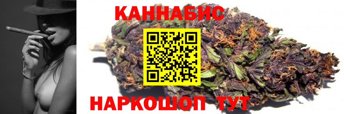 Бошки Шишки сатива Сальск